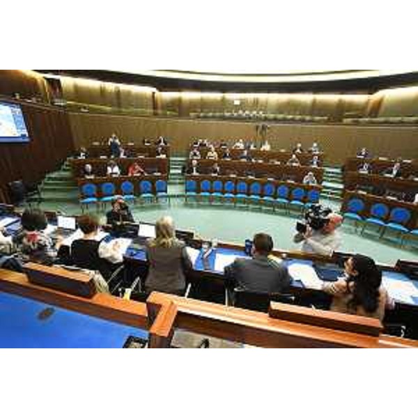Gli auditi in IV Commissione sul ddl 36 - Gli auditi in IV Commissione sul ddl 36