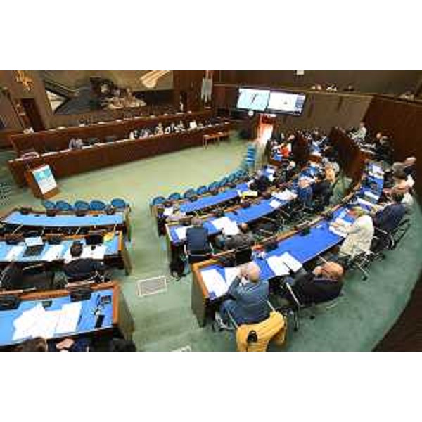 Le audizioni in IV Commissione sul ddl 36 - Le audizioni in IV Commissione sul ddl 36