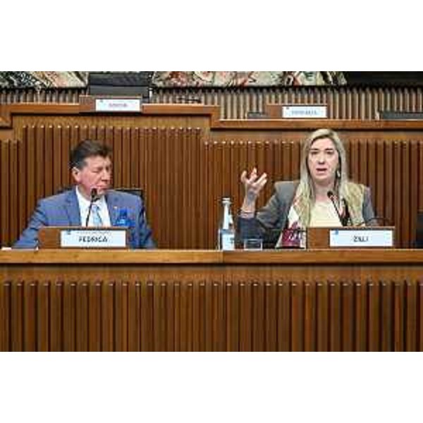 Il presidente della IV Commissione, Alberto Budai, e l'assessore regionale Cristina Almirante - Il presidente della IV Commissione, Alberto Budai, e l'assessore regionale Cristina Almirante