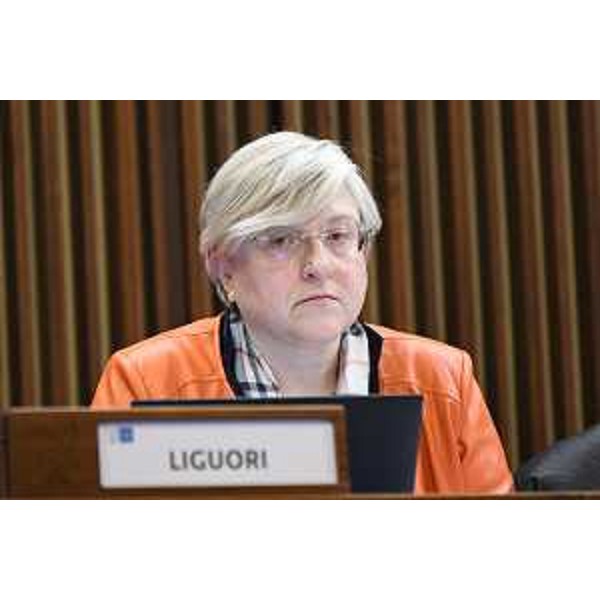 Simona Liguori (Patto-Civica Fvg) - Simona Liguori (Patto-Civica Fvg)