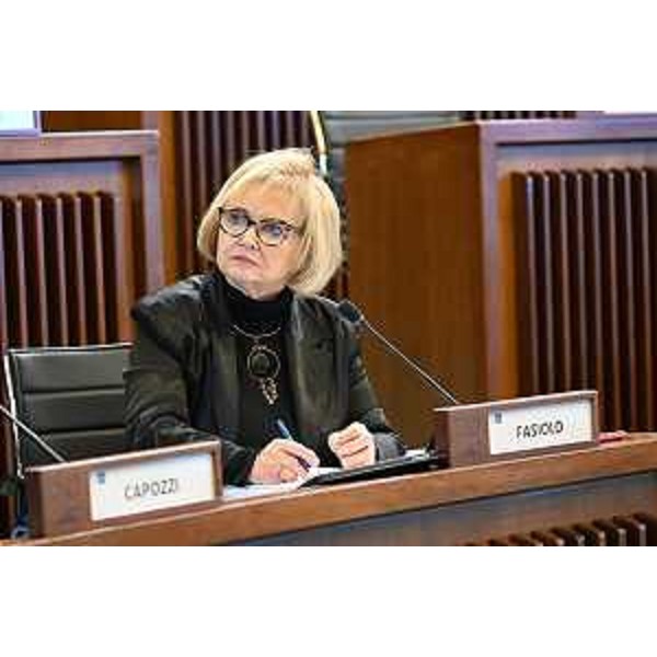 Laura Fasiolo (Pd) - Laura Fasiolo (Pd)