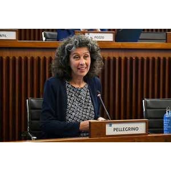 Serena Pellegrino (Avs) - Serena Pellegrino (Avs)