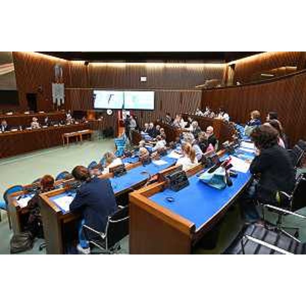 Un momento dei lavori nell'aula del Consiglio regionale - Un momento dei lavori nell'aula del Consiglio regionale