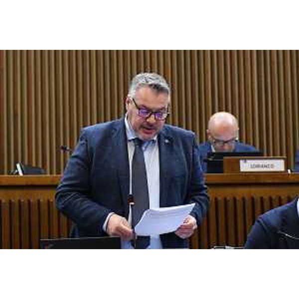 Diego Bernardis (Fedriga presidente) - Diego Bernardis (Fedriga presidente)