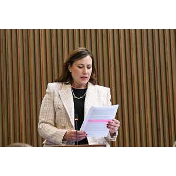 Manuela Celotti (Pd) - Manuela Celotti (Pd)