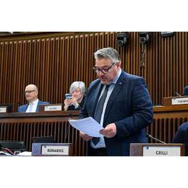 Diego Bernardis (Fedriga presidente) - Diego Bernardis (Fedriga presidente)