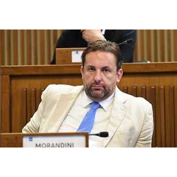 Edy Morandini (Fp) - Edy Morandini (Fp)