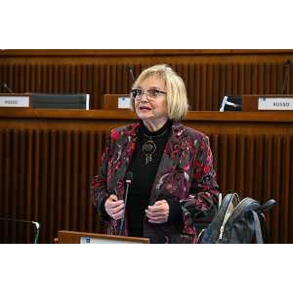 Laura Fasiolo (Pd) - Laura Fasiolo (Pd)