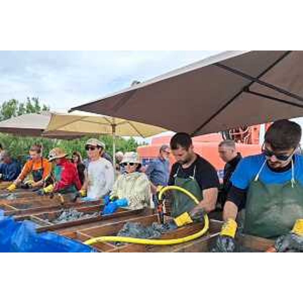 I ragazzi dell'Università di Udine al lavoro presso il sito sull'Isola di Morgo a Grado - I ragazzi dell'Università di Udine al lavoro presso il sito sull'Isola di Morgo a Grado