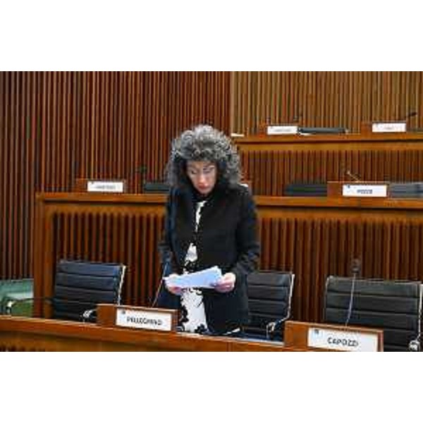 Serena Pellegrino (Avs) - Serena Pellegrino (Avs)