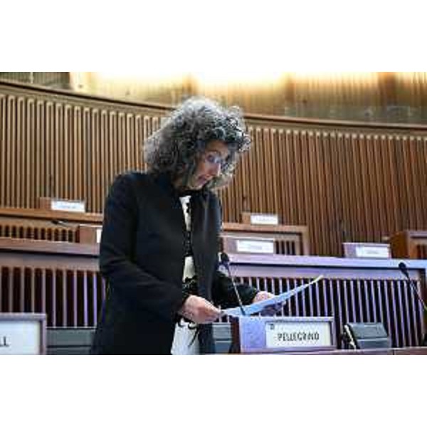 Serena Pellegrino (Avs) - Serena Pellegrino (Avs)