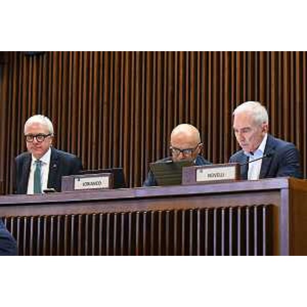 Andrea Cabibbo, Michele Lobianco e Roberto Novelli (FI) - Andrea Cabibbo, Michele Lobianco e Roberto Novelli (FI)