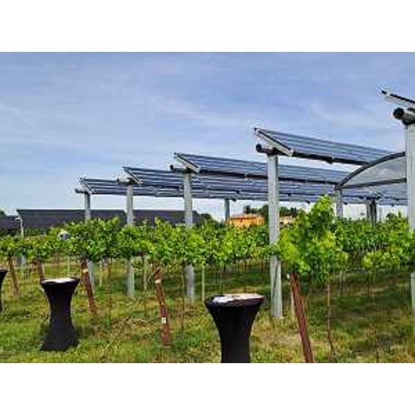 Il primo impianto agrivoltaico avanzato del Friuli Venezia Giulia a Palazzolo dello Stella. - Il primo impianto agrivoltaico avanzato del Friuli Venezia Giulia a Palazzolo dello Stella.