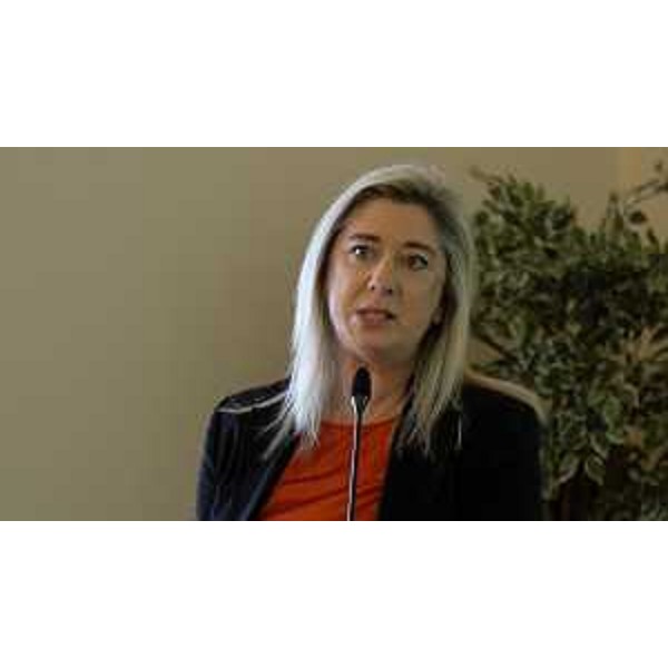 L'assessore Amirante durante il suo intervento - L'assessore Amirante durante il suo intervento