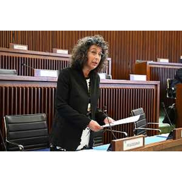 Serena Pellegrino (Avs) - Serena Pellegrino (Avs)