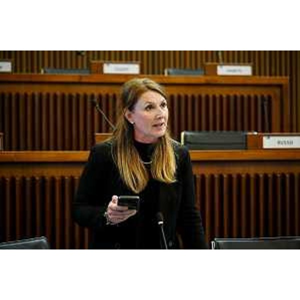 Rosaria Capozzi (M5S) - Rosaria Capozzi (M5S)