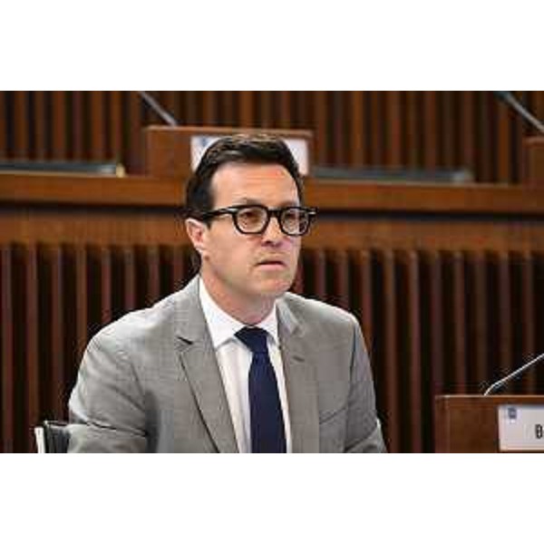 Igor Treleani (FdI) - Igor Treleani (FdI)