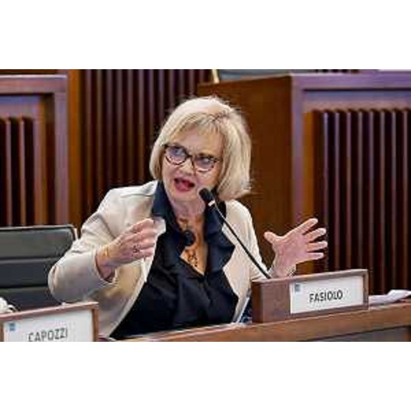 Laura Fasiolo (Pd) - Laura Fasiolo (Pd)