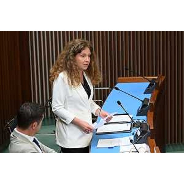 Orsola Costanza (FdI) - Orsola Costanza (FdI)