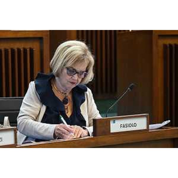 Laura Fasiolo (Pd) - Laura Fasiolo (Pd)