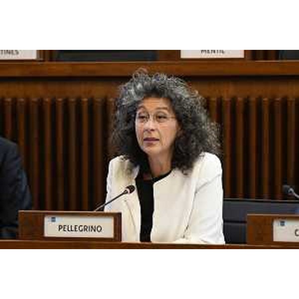 Serena Pellegrino (Avs) - Serena Pellegrino (Avs)