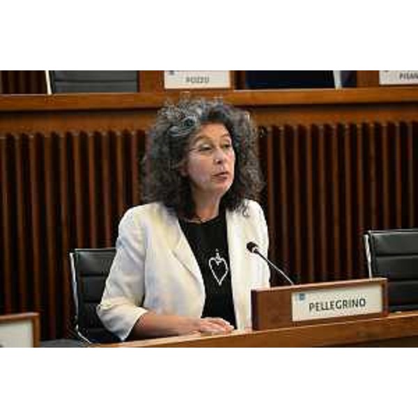 Serena Pellegrino (Avs) - Serena Pellegrino (Avs)