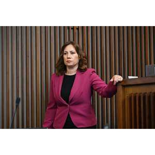 Manuela Celotti (Pd) - Manuela Celotti (Pd)