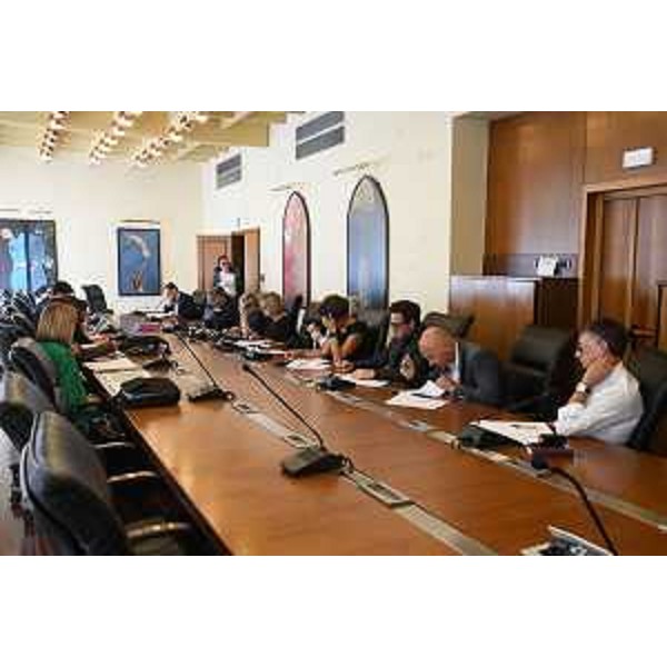 Un momento della seduta del Clcv in Sala gialla - Un momento della seduta del Clcv in Sala gialla