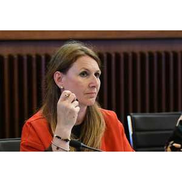 Rosaria Capozzi (M5s) - Rosaria Capozzi (M5s)