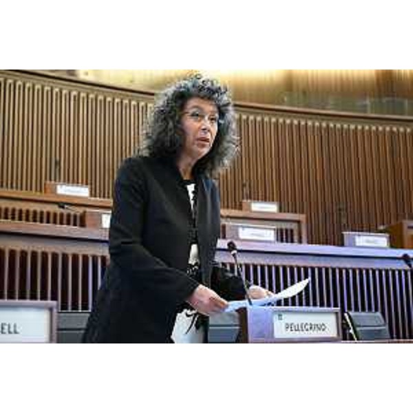 Serena Pellegrino (Avs) - Serena Pellegrino (Avs)