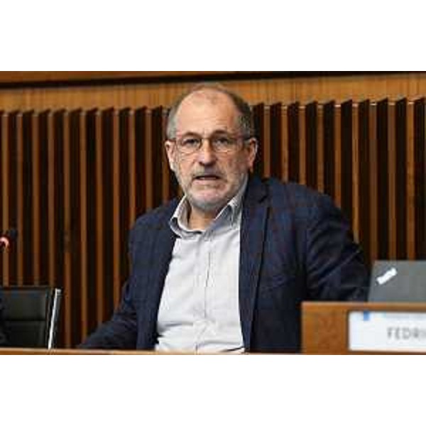 Il presidente del Consorzio culturale monfalconese, Davide Iannis - Il presidente del Consorzio culturale monfalconese, Davide Iannis