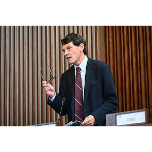 Nicola Conficoni (Pd) - Nicola Conficoni (Pd)