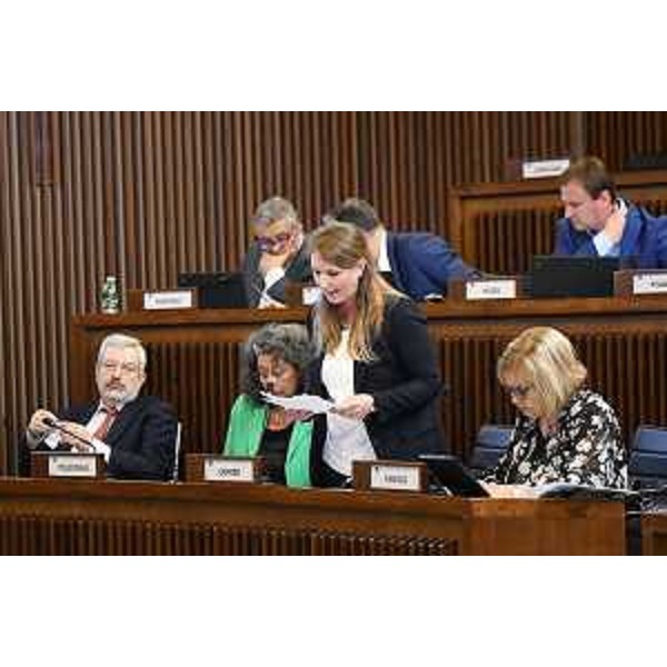 L'intervento di Rosaria Capozzi (M5S) - L'intervento di Rosaria Capozzi (M5S)