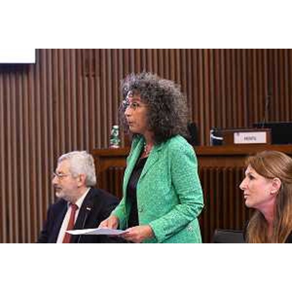 Serena Pellegrino (Avs) - Serena Pellegrino (Avs)