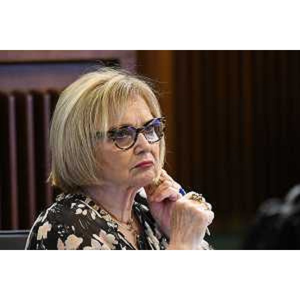 Laura Fasiolo (Pd) - Laura Fasiolo (Pd)