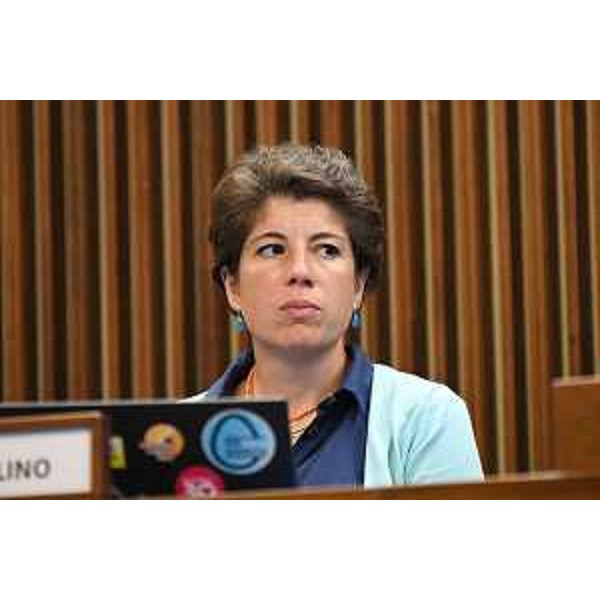 Giulia Massolino (Patto-Civica Fvg) - Giulia Massolino (Patto-Civica Fvg)