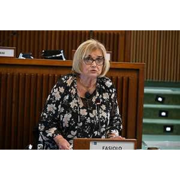 Laura Fasiolo (Pd) - Laura Fasiolo (Pd)