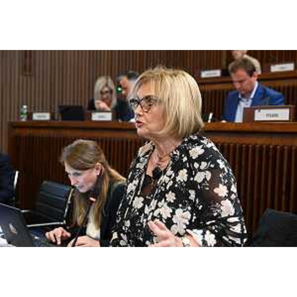 Laura Fasiolo (Pd) - Laura Fasiolo (Pd)