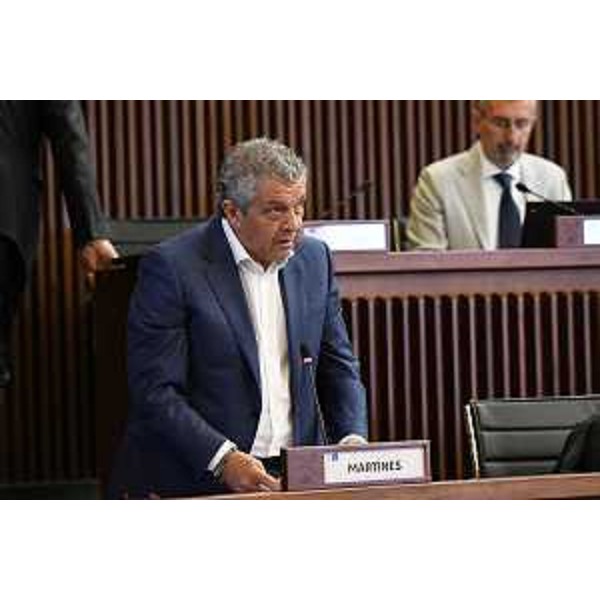 Francesco Martines (Pd) - Francesco Martines (Pd)