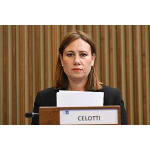 Manuela Celotti (Pd) - Manuela Celotti (Pd)