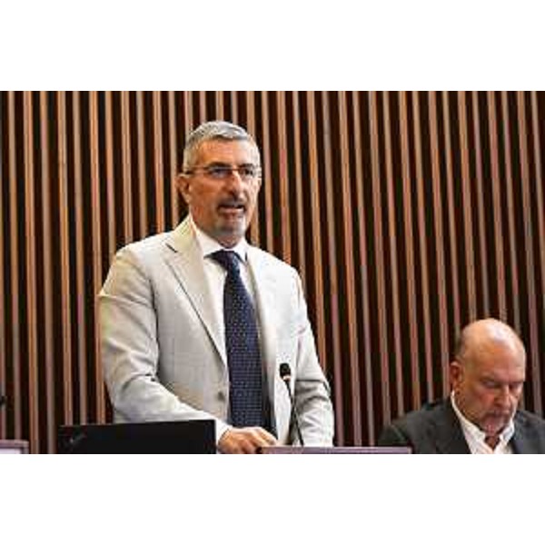 Andrea Carli (Pd) - Andrea Carli (Pd)