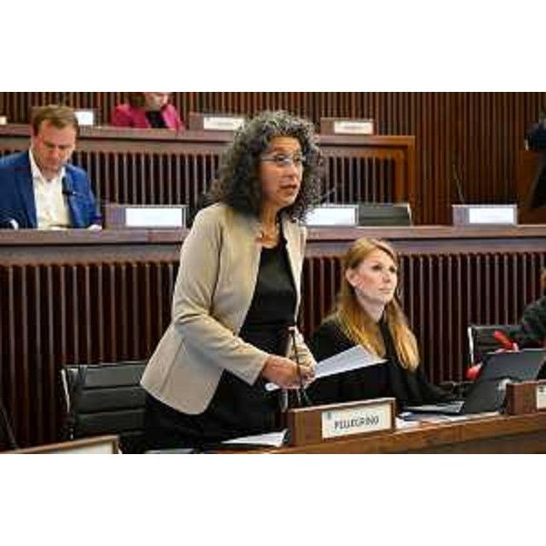 Serena Pellegrino (Avs) accanto a Rosaria Capozzi del M5S - Serena Pellegrino (Avs) accanto a Rosaria Capozzi del M5S