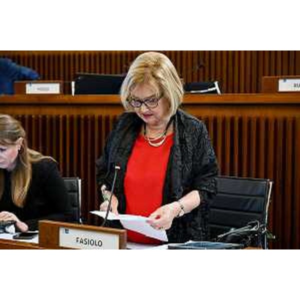 Laura Fasiolo (Pd) - Laura Fasiolo (Pd)