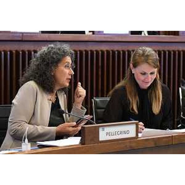 Da sinistra Serena Pellegrino (Avs) e Rosaria Capozzi (M5s) - Da sinistra Serena Pellegrino (Avs) e Rosaria Capozzi (M5s)