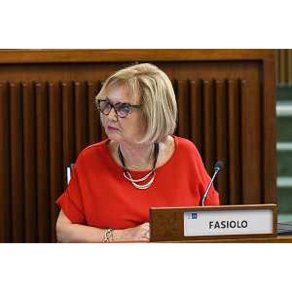 Laura Fasiolo (Pd) - Laura Fasiolo (Pd)