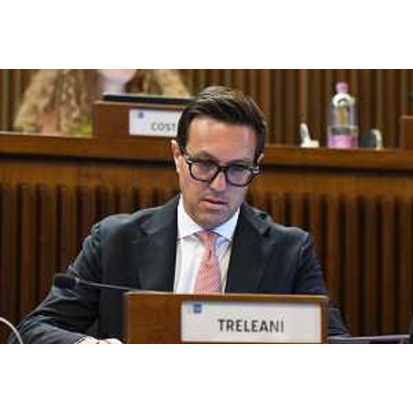 Igor Treleani (FdI) - Igor Treleani (FdI)