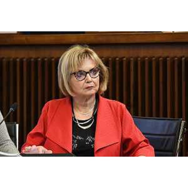 Laura Fasiolo (Pd) - Laura Fasiolo (Pd)