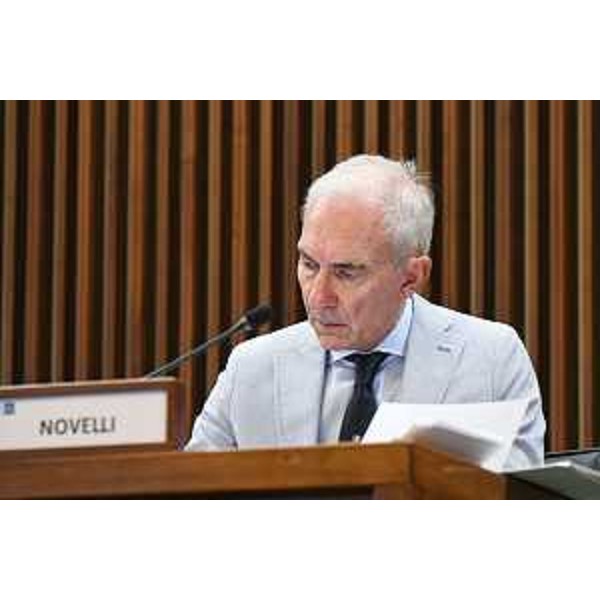 Roberto Novelli (Forza Italia) - Roberto Novelli (Forza Italia)