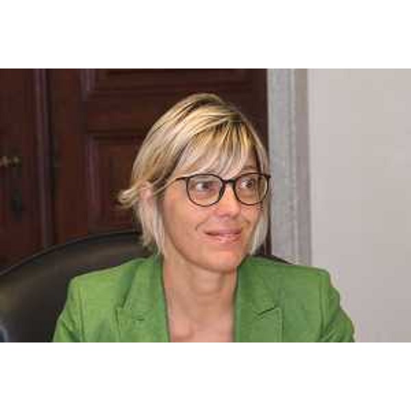 L'assessore regionale alle Finanze Barbara Zilli - L'assessore regionale alle Finanze Barbara Zilli