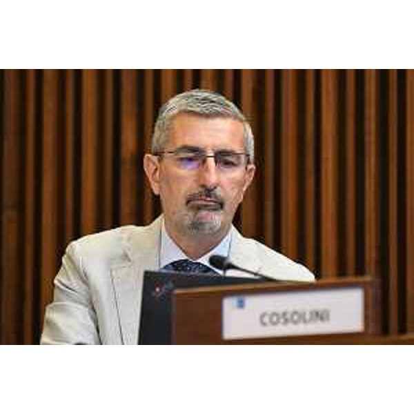 Andrea Carli (Pd) - Andrea Carli (Pd)